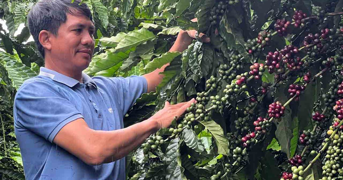 Một phần của ký ức