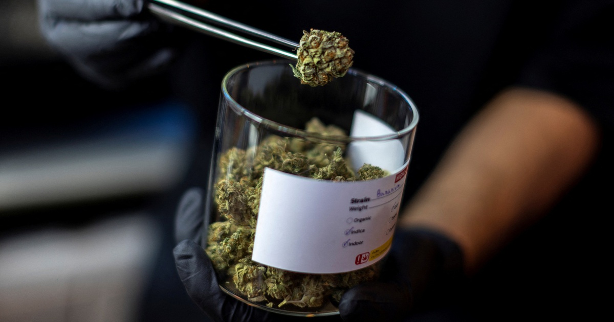 Sri Lanka bắt 22 nhà sư vận chuyển 110 kg cần sa trong hành lý