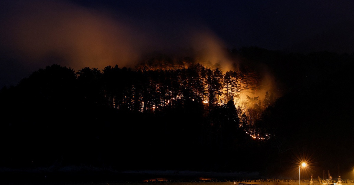 Nhật điều 1.500 lính cứu hỏa, quân nhân chữa cháy rừng đang lan rộng
