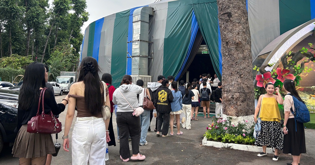 Rạp xiếc Công viên Gia Định có gì mà người dân xếp hàng dài đến xem?