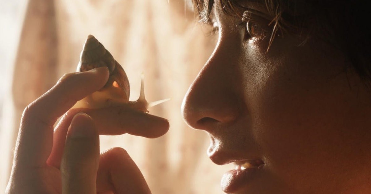 'Giấc mơ là ốc sên' tranh giải Cành cọ vàng cho phim ngắn tại LHP Cannes