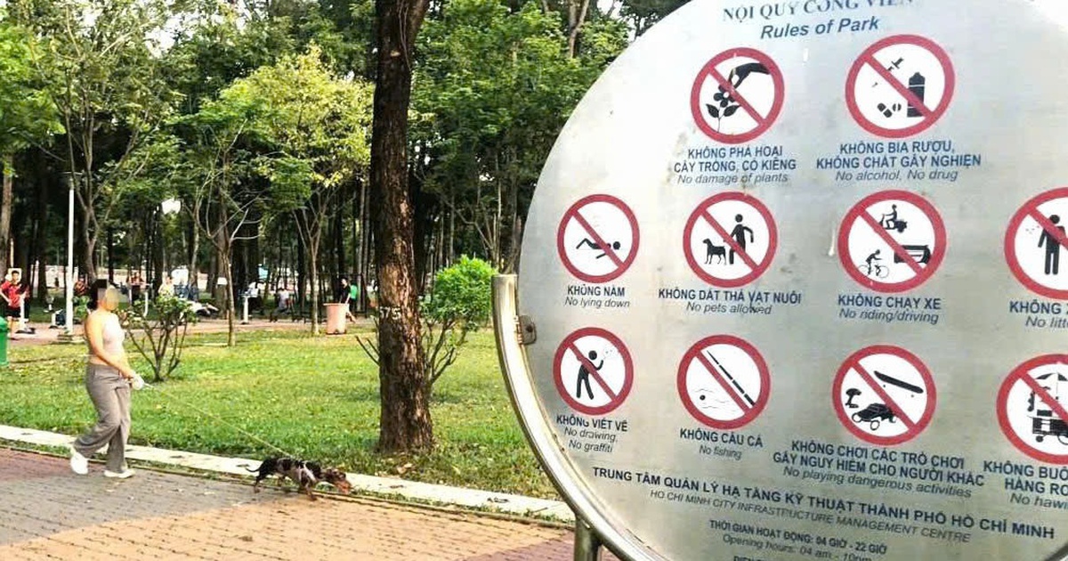 Rùng mình cảnh chó không rọ mõm giữa mùa nắng nóng, nguy cơ dại bủa vây