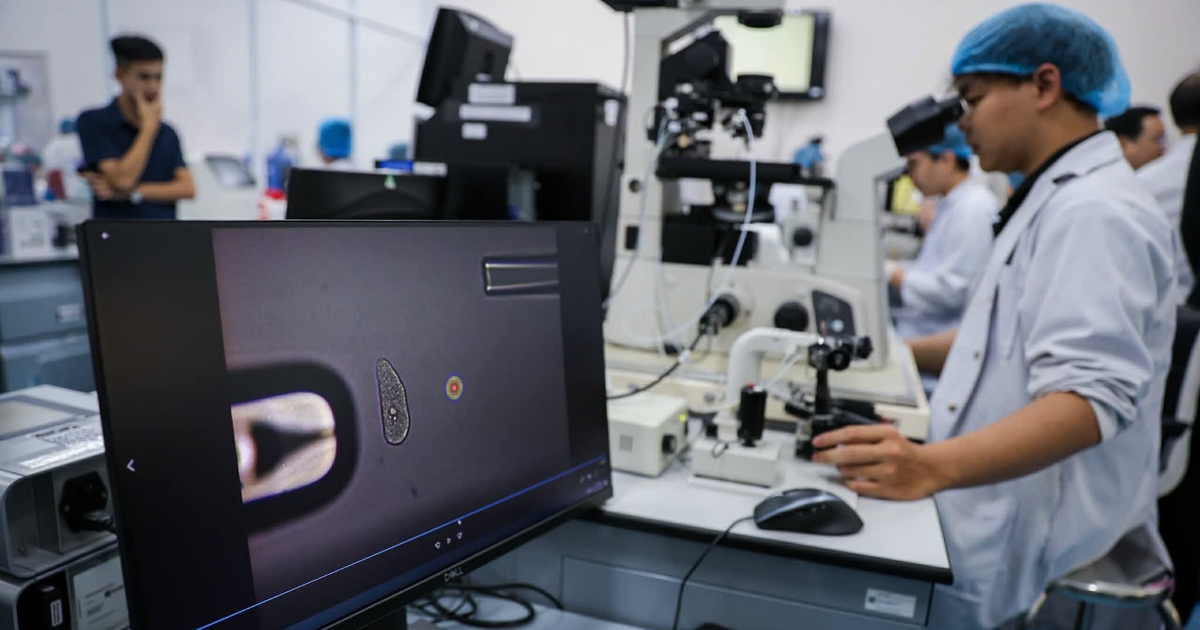 Tăng tốc đào tạo tiến sĩ: Học phí ở mức nào?