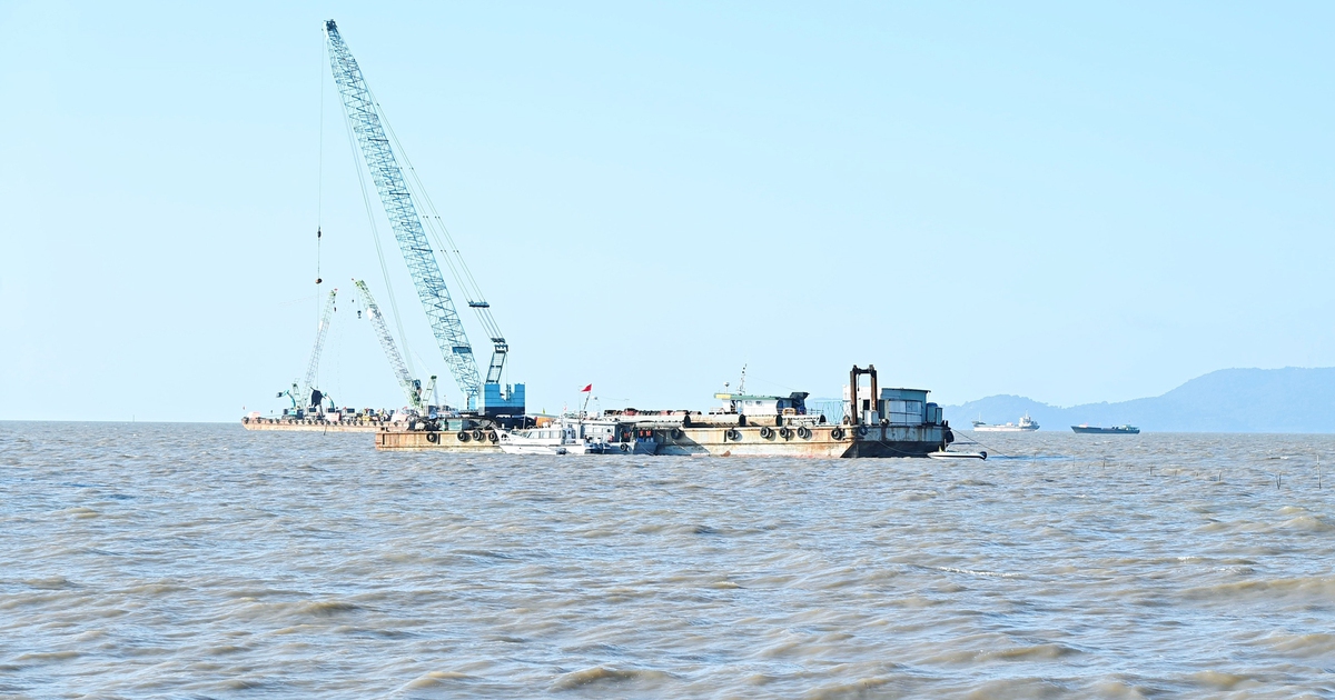 Cà Mau với khát vọng vươn xa