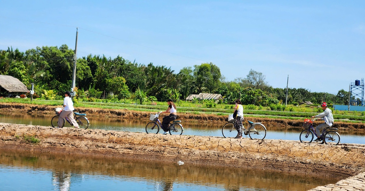 Cồn Chim, ốc đảo xinh đẹp vùng sông nước phương Nam