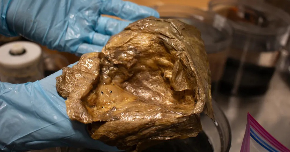 Giải mã bí ẩn ‘quả cầu vàng’ dưới đáy đại dương ở Mỹ