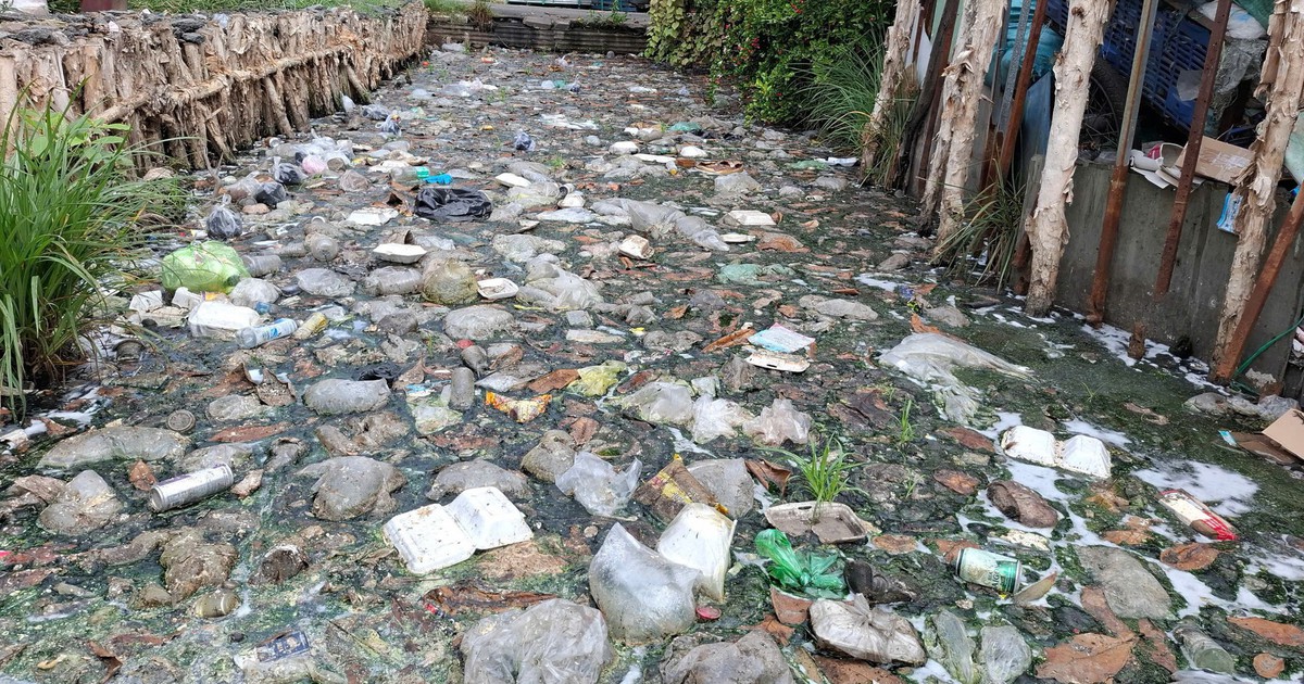 Những dòng kênh chứa đầy cỏ, rác