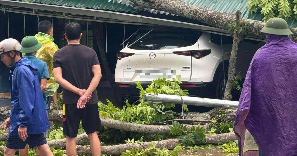 Mưa đá, gió lốc xảy ra nhiều nơi ở Thanh Hóa