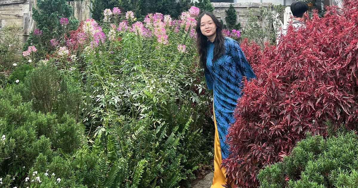 Không ôn luyện ở trung tâm, nữ sinh đạt IELTS 8.0 ngay lần thi đầu tiên