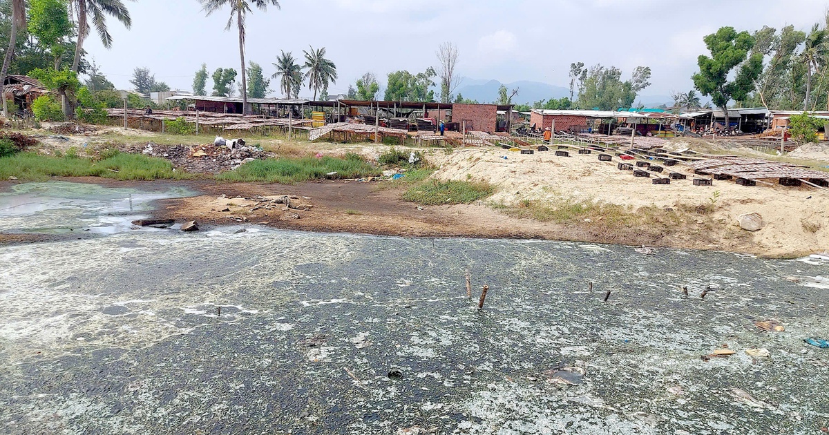 Chế biến mực xà tại Đề Gi: 54 hộ làm khổ 7.000 dân