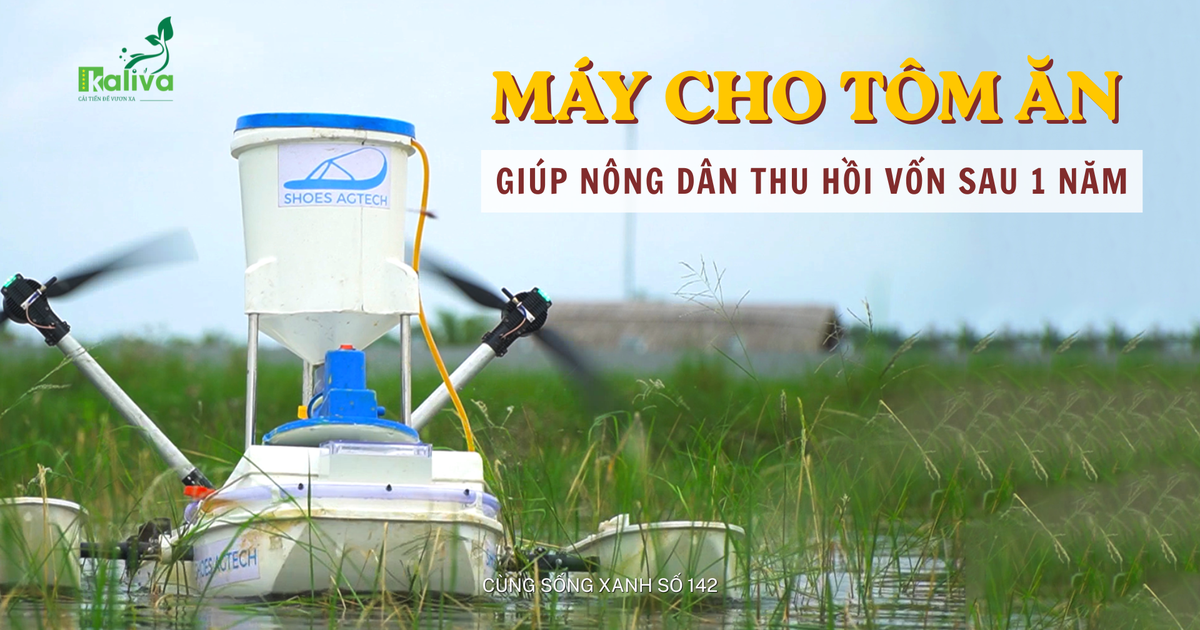 Cùng sống xanh số 142: Khi phó giáo sư kỹ thuật bay chế tạo máy chăm tôm giúp nông dân làm giàu