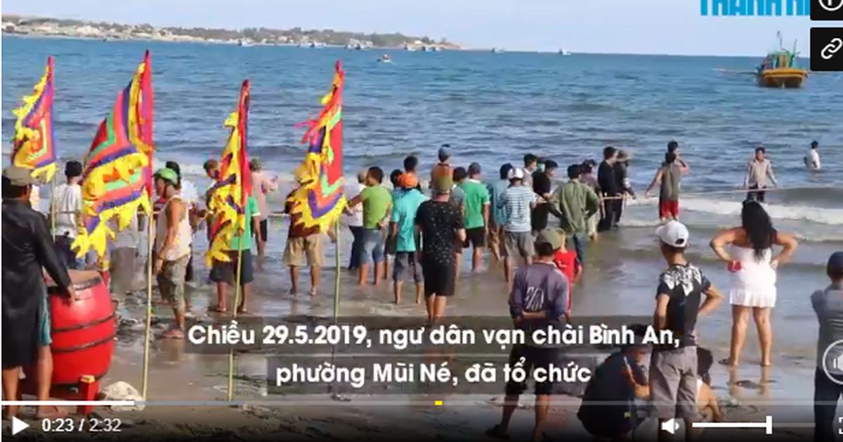 Cá voi trở lại Mũi Né: Tín hiệu bình yên từ biển?