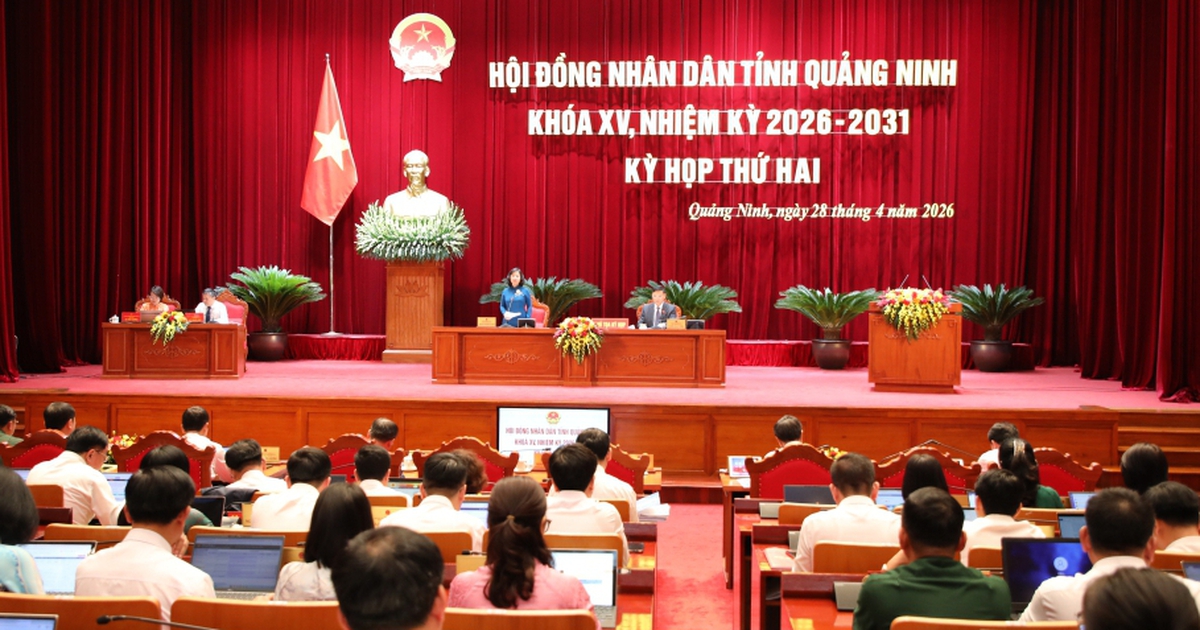 2 Ủy viên Thường vụ Tỉnh ủy Quảng Ninh bị bãi nhiệm tư cách đại biểu HĐND tỉnh