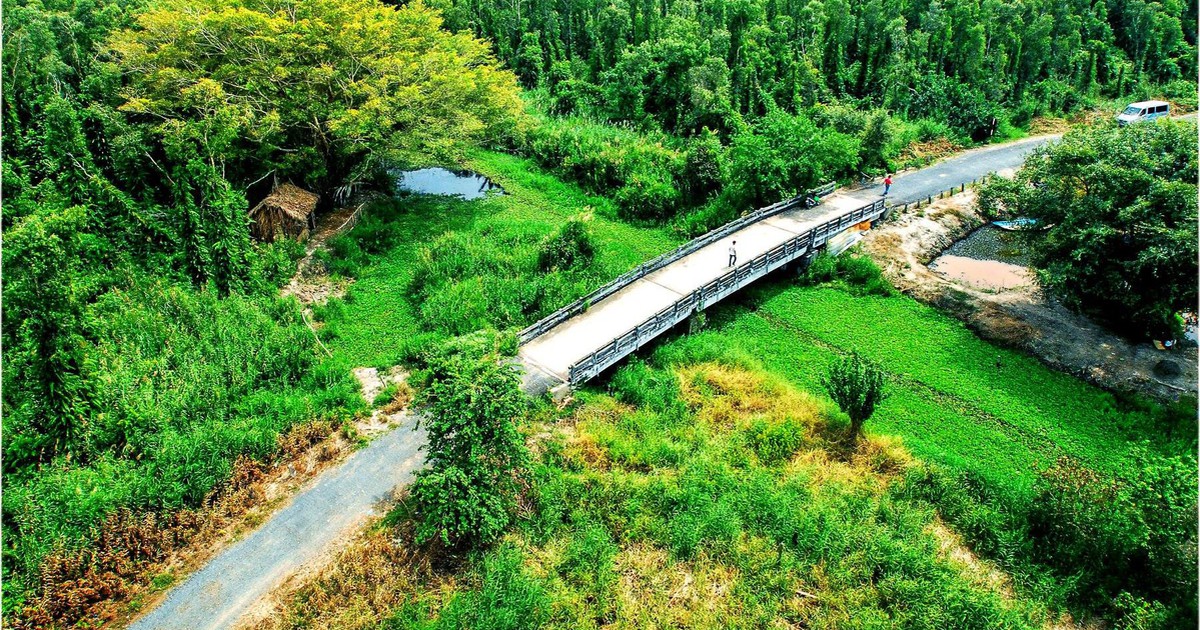 U Minh Hạ quy hoạch 1.300 ha, nhắm đón hơn 300.000 khách mỗi năm