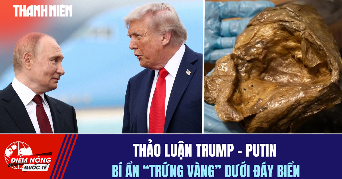 Tiêu điểm quốc tế 1.5: Thảo luận Trump - Putin | Bí ẩn 'trứng vàng' dưới đáy biển