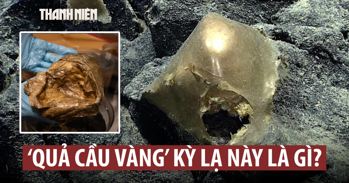 Hé mở bí ẩn ‘trứng vàng’ dưới đáy đại dương