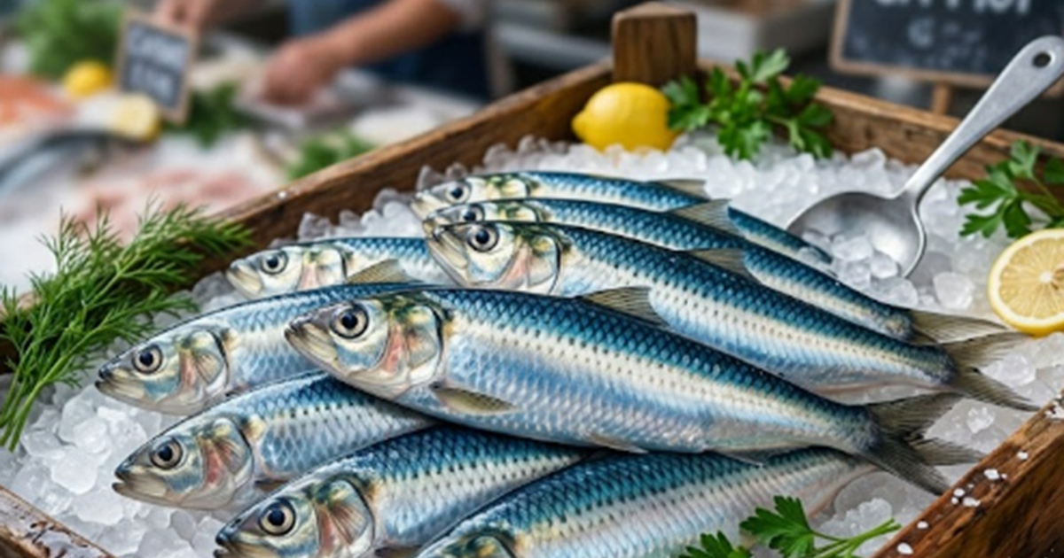 Ăn cá lúc nào để hấp thu omega-3 tối đa? Chuyên gia bật mí 'thời điểm vàng'