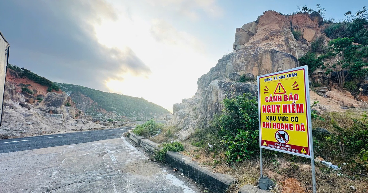 5 du khách bị khỉ cắn phải nhập viện ở Đắk Lắk