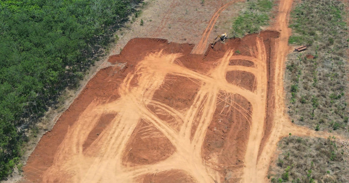 Đồng Nai: Bị xử phạt 30 triệu đồng vì làm biến dạng hơn 0,5 ha đất