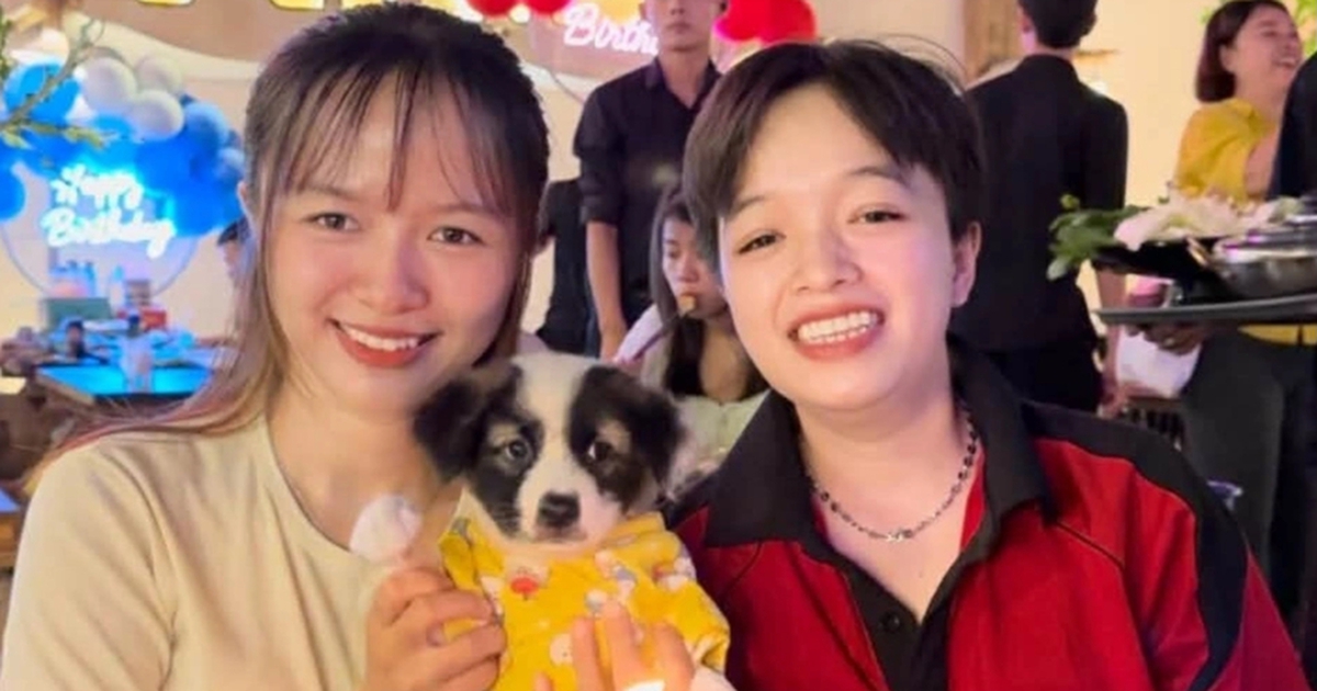 Sao nỡ ăn ‘người bạn’ của mình?: Giới trẻ nói thẳng về thịt chó, mèo