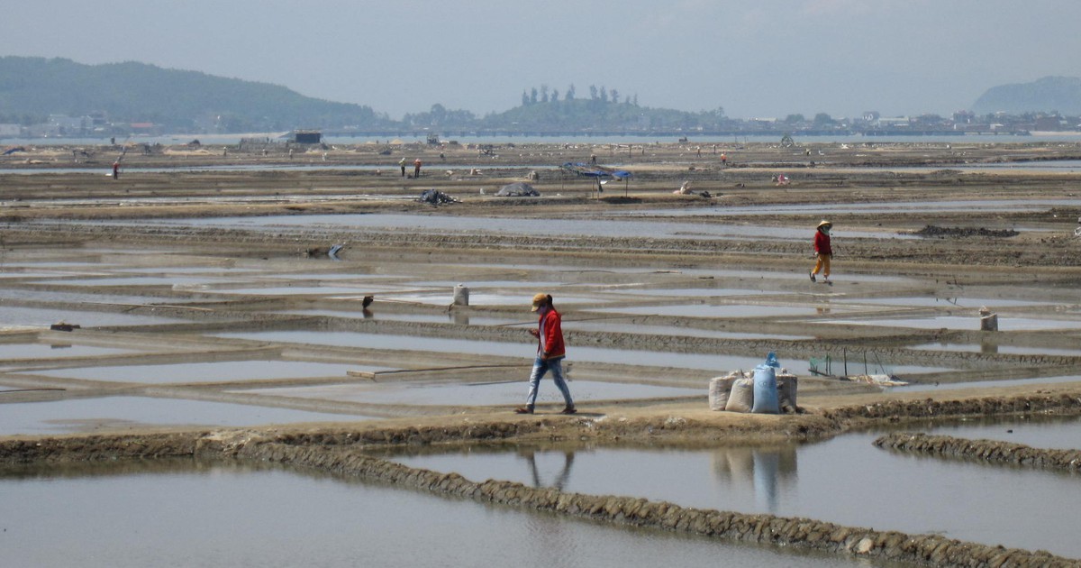 Trớ trêu ở Sa Huỳnh: Giá muối tăng nhưng diêm dân lại… không còn muối