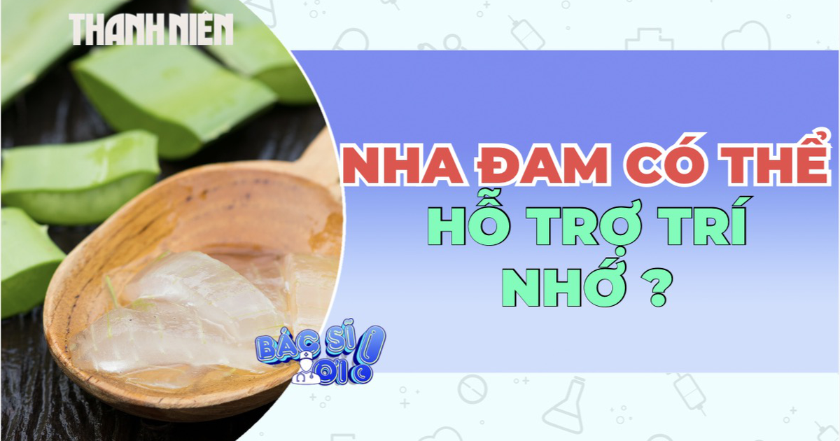 Nha đam có thể giúp phục hồi trí nhớ?