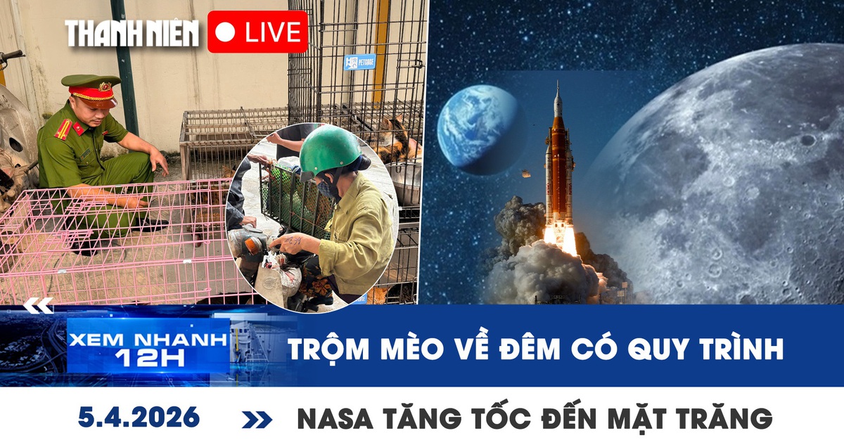 Xem nhanh 12h: Hẹn nhau trộm mèo về đêm, đưa đến lò mổ | NASA tăng tốc đến mặt trăng