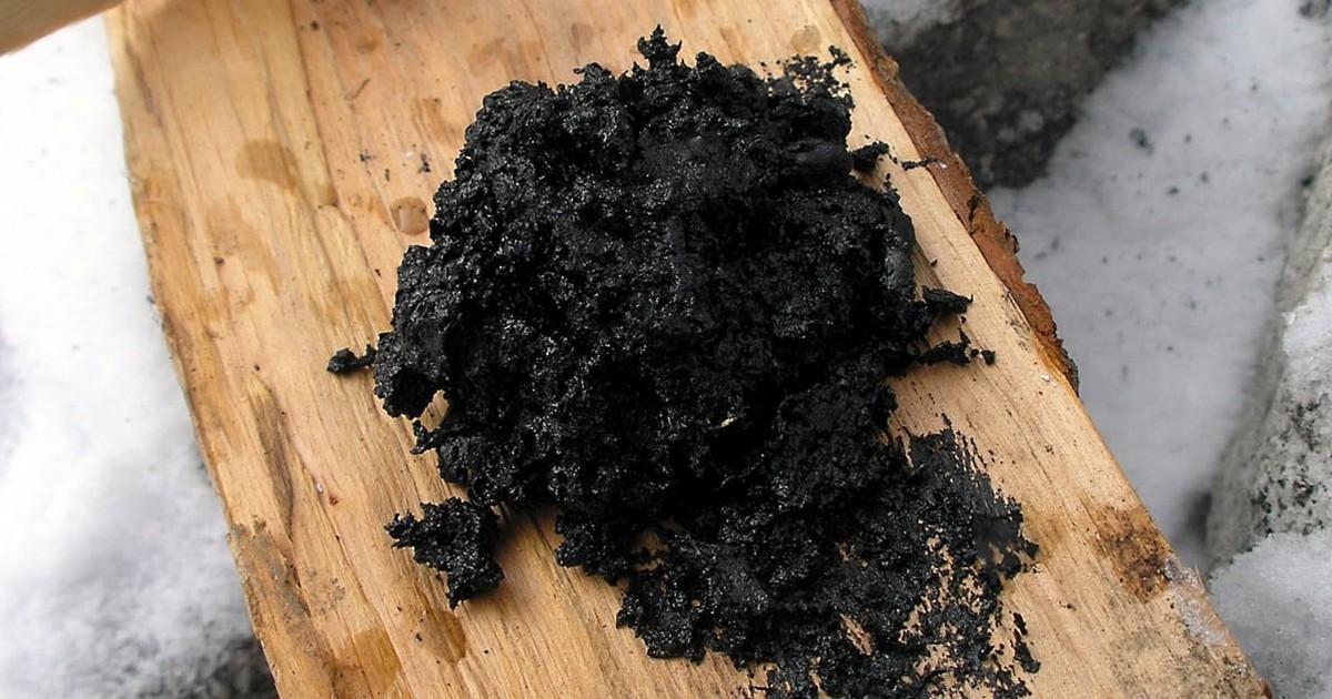 Người Neanderthal biết chế tạo dược phẩm từ 200.000 năm trước?