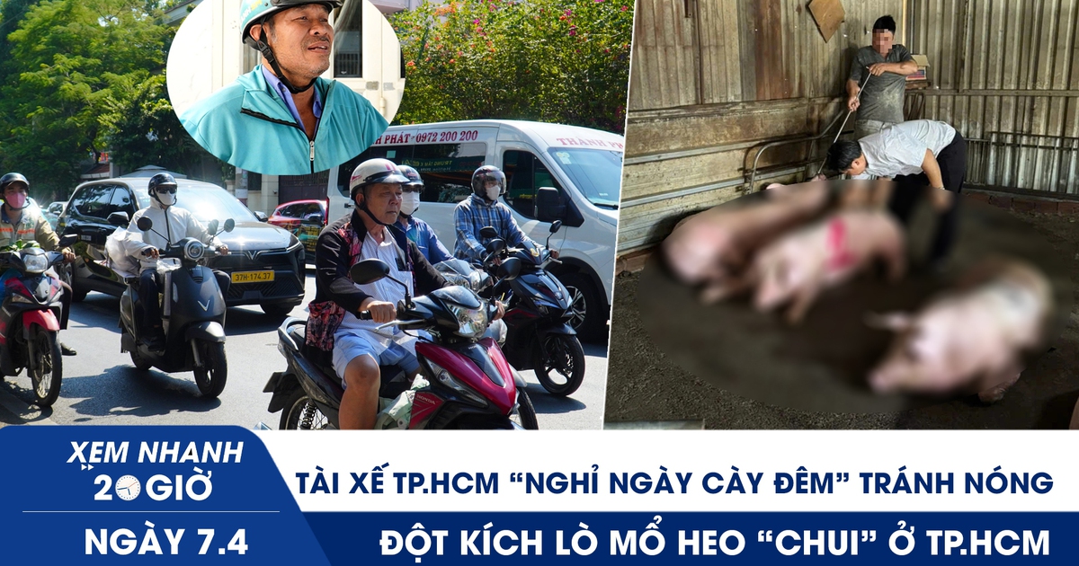 Xem nhanh 20h ngày 7.4: Tài xế TP.HCM nghỉ ngày cày đêm tránh nóng | Đột kích lò mổ heo chui ở TP.HCM