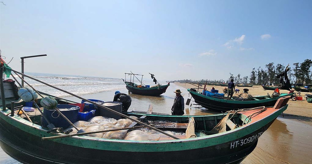 M&ugrave;a lộc biển: Những khoang thuyền chở 'v&agrave;ng trắng' về bờ
