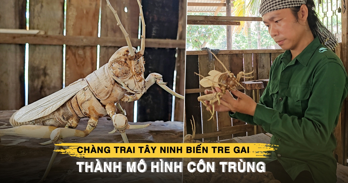 Chàng trai Tây Ninh biến tre gai thành mô hình côn trùng cực tinh xảo
