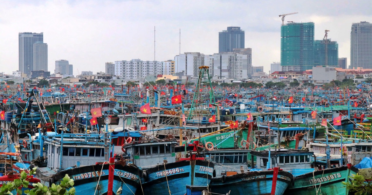 Đà Nẵng tính di dời cảng cá Thọ Quang, mở đường hình thành cảng du lịch