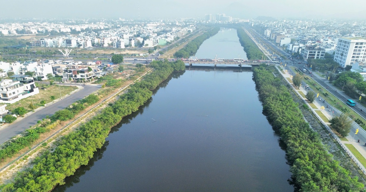 Dự &aacute;n k&egrave; s&ocirc;ng 590 tỉ ở Nha Trang &lsquo;đứng b&aacute;nh&rsquo; 5 năm v&igrave;... hai h&agrave;ng c&acirc;y