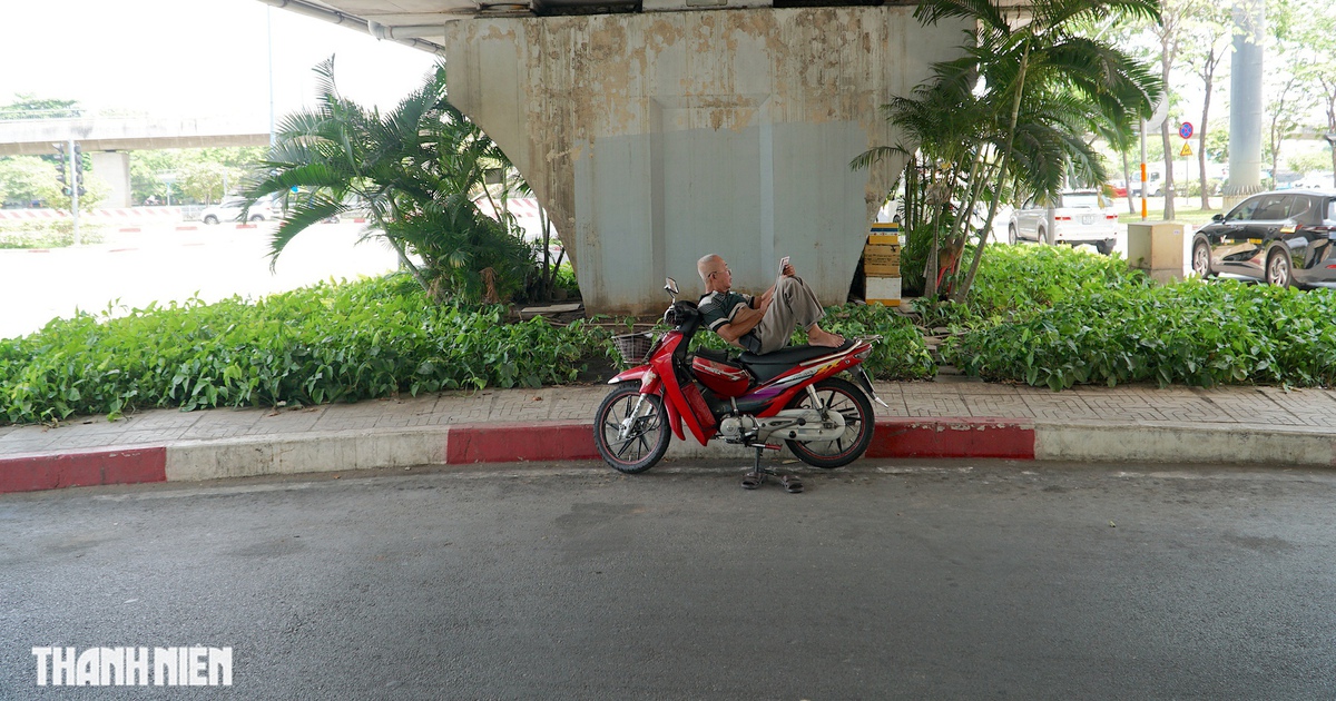 TP.HCM nóng hầm hập: Bóng cây, gầm cầu thành điểm dừng chân tránh nắng, nghỉ trưa