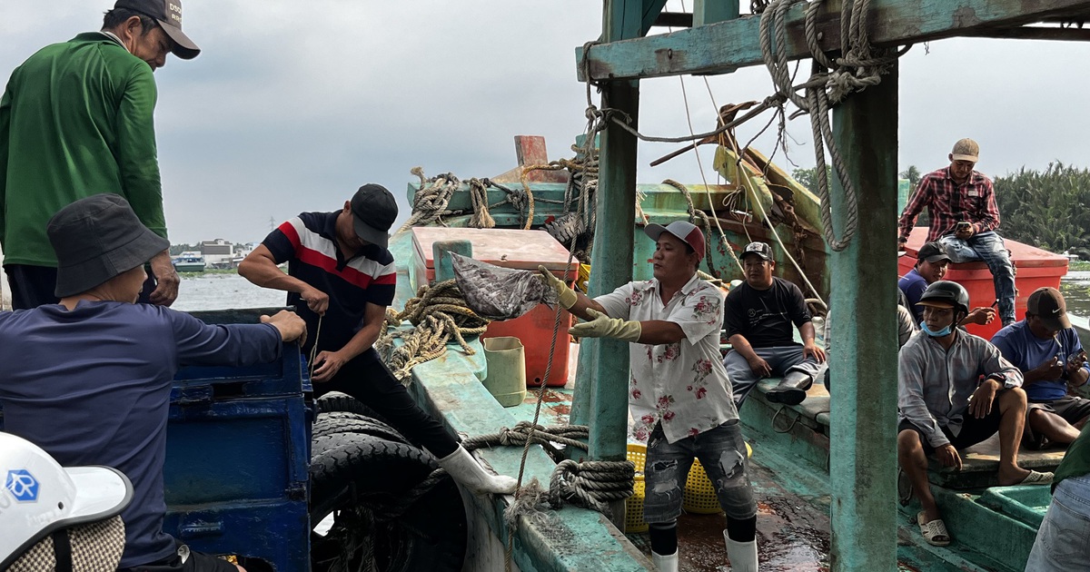 Khởi tố 55 vụ vi phạm khai thác thủy sản, An Giang quyết liệt gỡ 'thẻ vàng' IUU