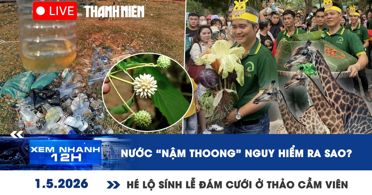 Xem nhanh 12h: Nước 'nậm thoong' nguy hiểm ra sao? | Hé lộ sính lễ đám cưới ở Thảo Cầm Viên