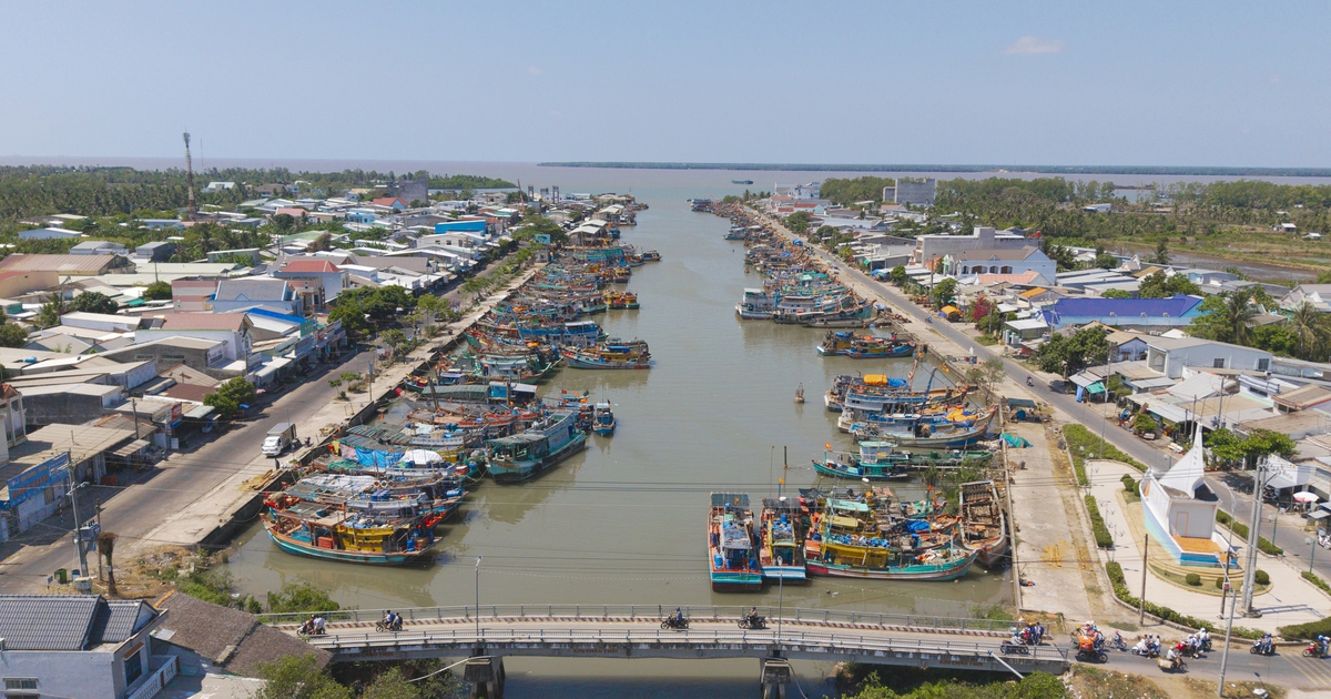 Ngư dân Vĩnh Long ra khơi mùa biển nông, thuyền về đầy ắp hải sản