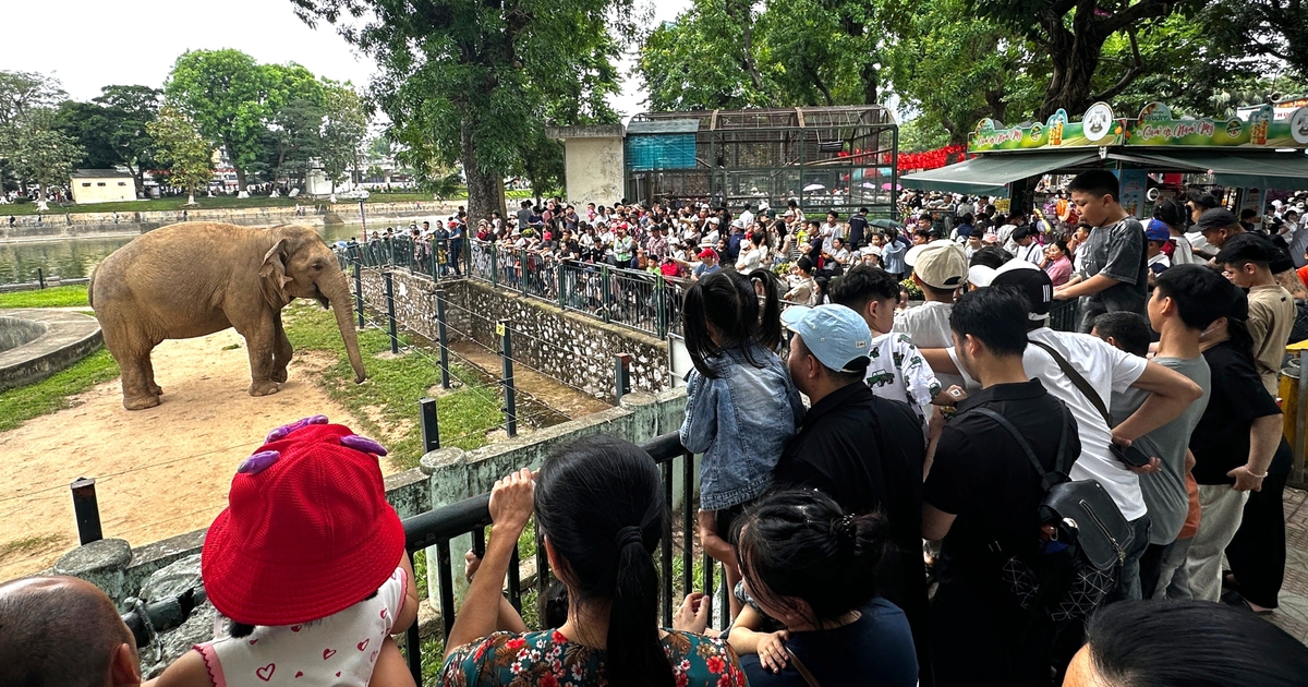 Vườn thú Hà Nội đông nghịt người, loa phát thanh liên tục cảnh báo móc túi
