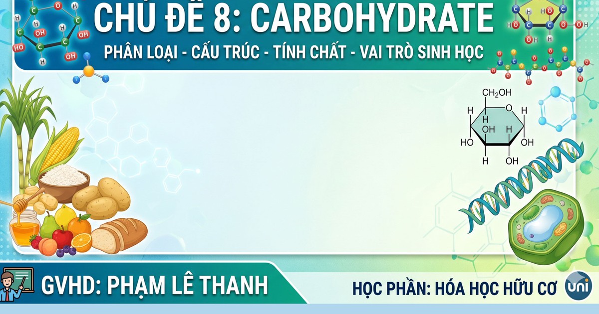 BÍ QUYẾT ÔN THI THPT 2026 | Môn hóa | Chuyên đề 8 | Carbohydrate - Phân loại, cấu trúc, vai trò sinh học