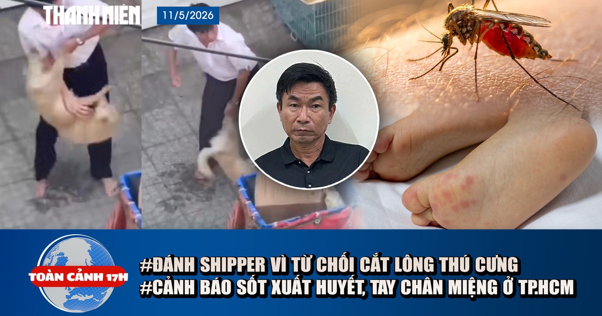 Toàn cảnh 17h: Điều tra vụ 'ôm chó đánh shipper' | Cảnh báo sốt xuất huyết ở TP.HCM