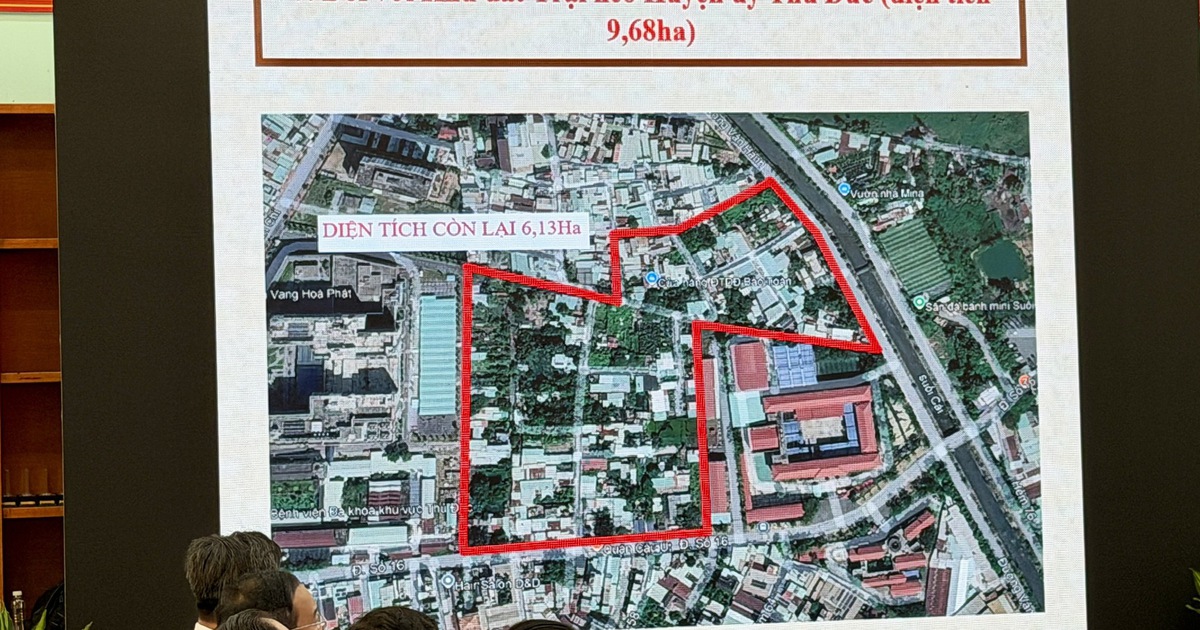 TP.HCM: Đề xuất giao nhiều khu đất công làm công viên, trường học