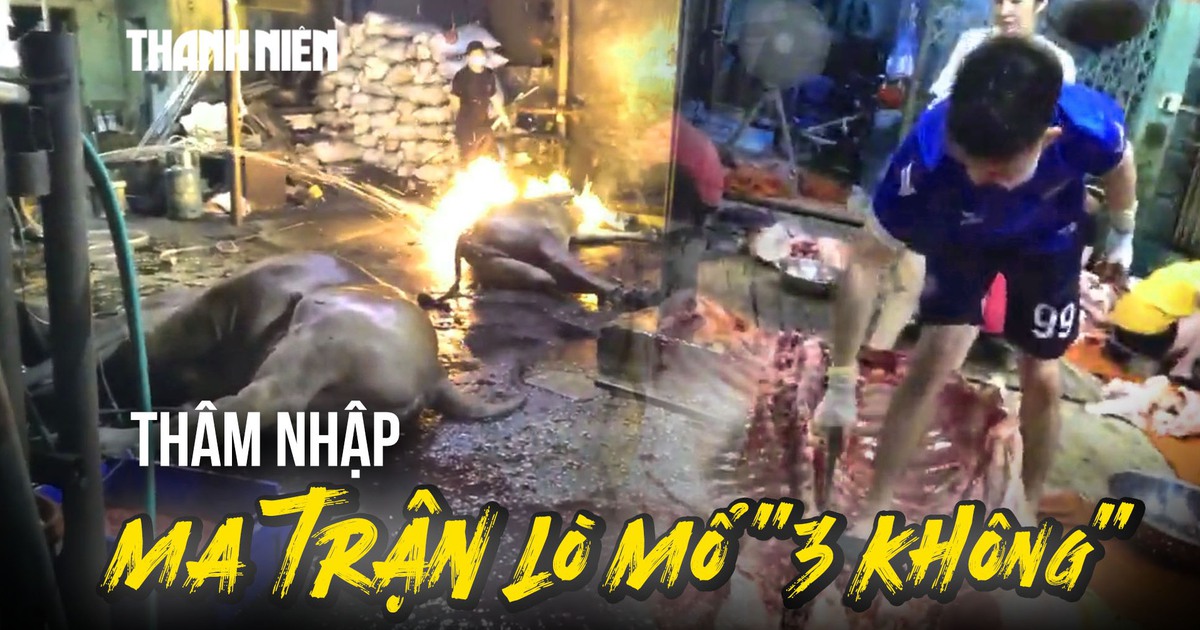 Thâm nhập những lò mổ '3 không': Sốc với cảnh 'hóa kiếp' trâu bò trên nền đất