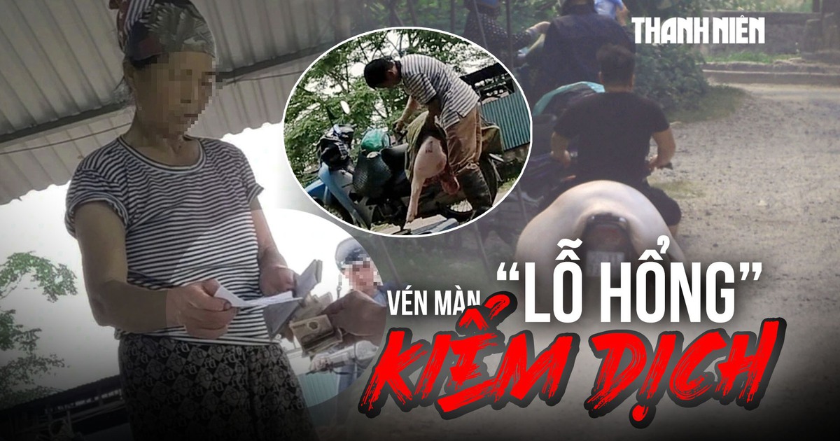Vén màn 'lỗ hổng' kiểm dịch: Cán bộ thú y bỏ chốt, thương lái tự đóng dấu