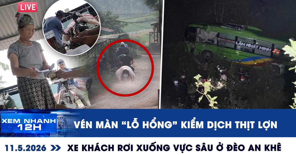 Xem nhanh 12h: Vén màn 'lỗ hổng' kiểm dịch thịt lợn | Xe khách rơi xuống vực sâu ở đèo An Khê
