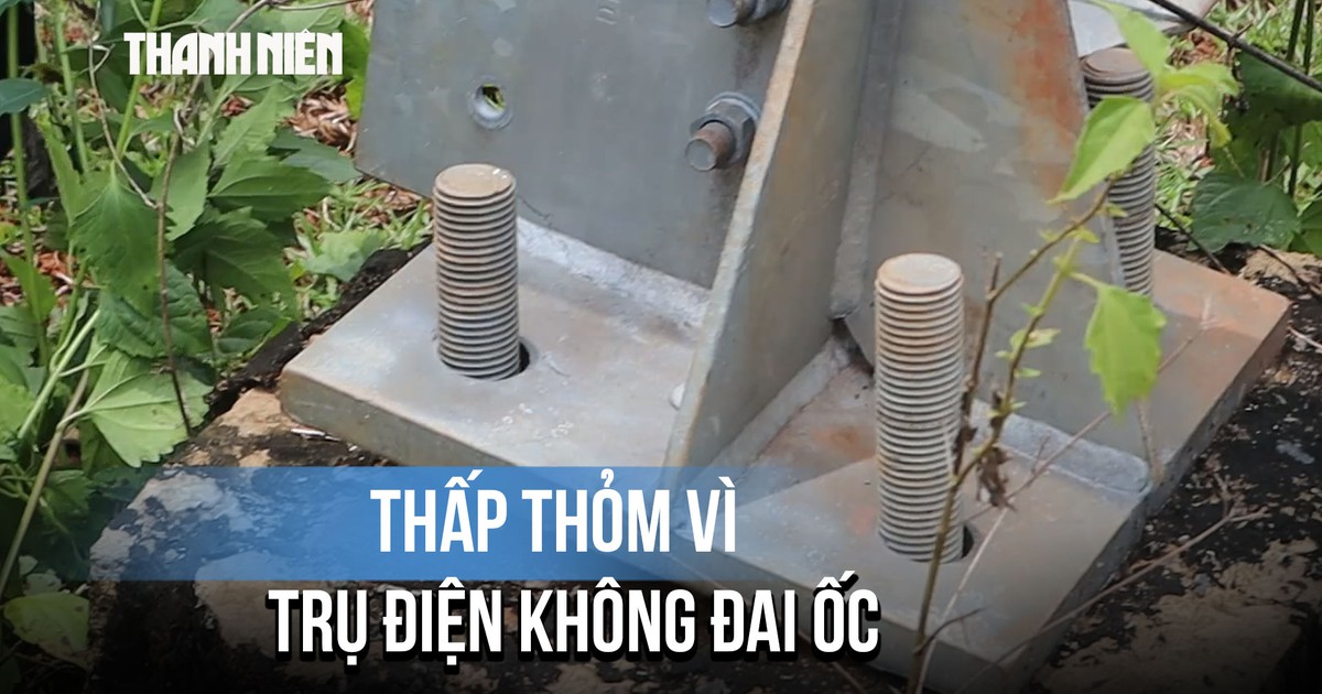Đồng Nai: Người dân bất an vì Trụ điện 110 kV không có đai ốc, ngã đổ