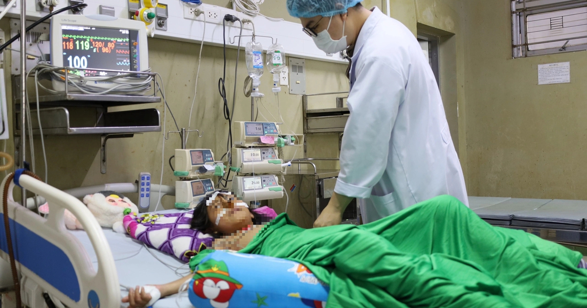 Nữ sinh nguy kịch sau khi bị ong vò vẽ đốt hơn 70 vết