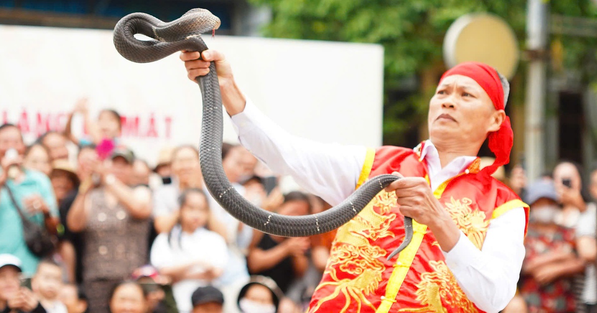 Người đàn ông 'múa rắn' giữa Hà Nội: 'Rắn hung dữ nhất gặp tôi cũng thành thú cưng’