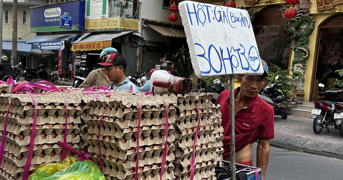 Sốc với giá trứng gà siêu rẻ chỉ '30.000 ngàn đồng 3 chục'