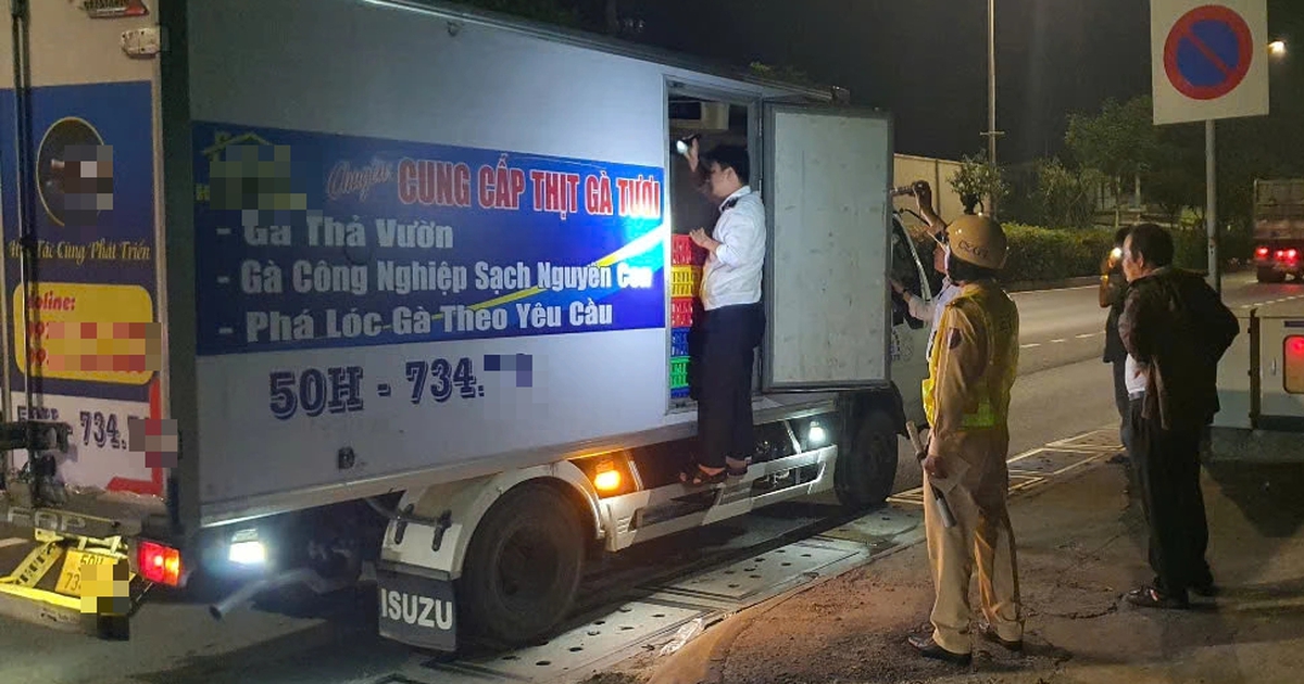 Phát hiện xe tải chở hơn 1,5 tấn gà 'bẩn' vào TP.HCM tiêu thụ