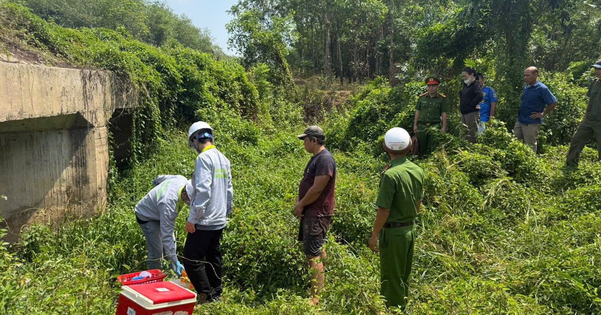 Đồng Nai: Phát hiện công ty chế biến mủ cao su xả nước thải đen ngòm ra suối
